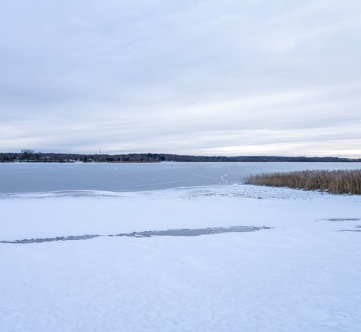 Рузские дачи