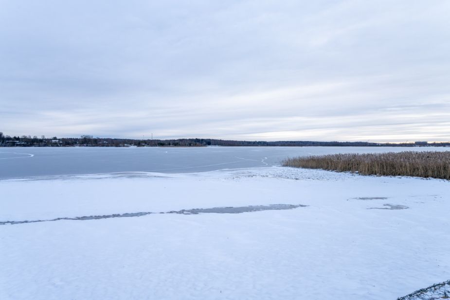 Рузские дачи