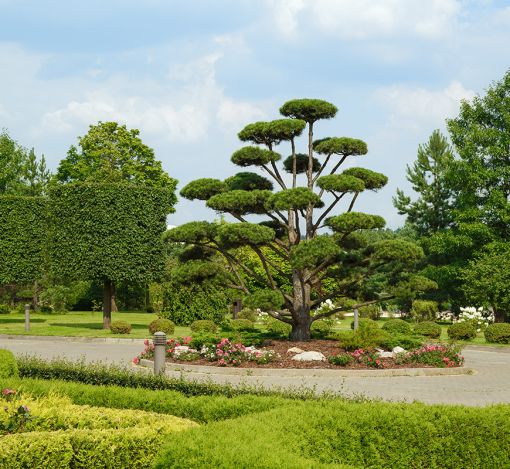 Дом под отделку в Ренессанс парк