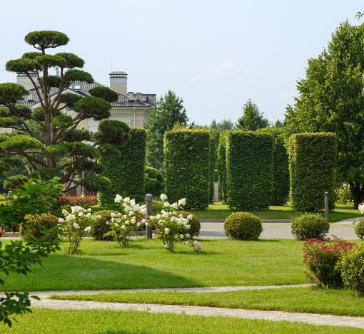 Дом под отделку в Ренессанс парк