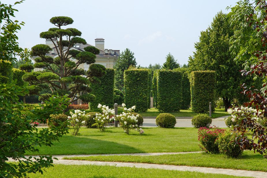 Дом под отделку в Ренессанс парк