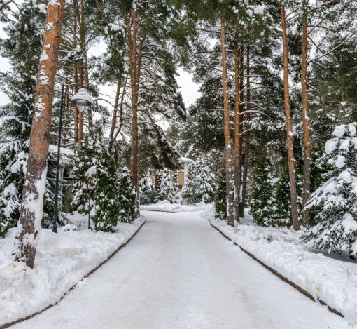 Алексеево Парк