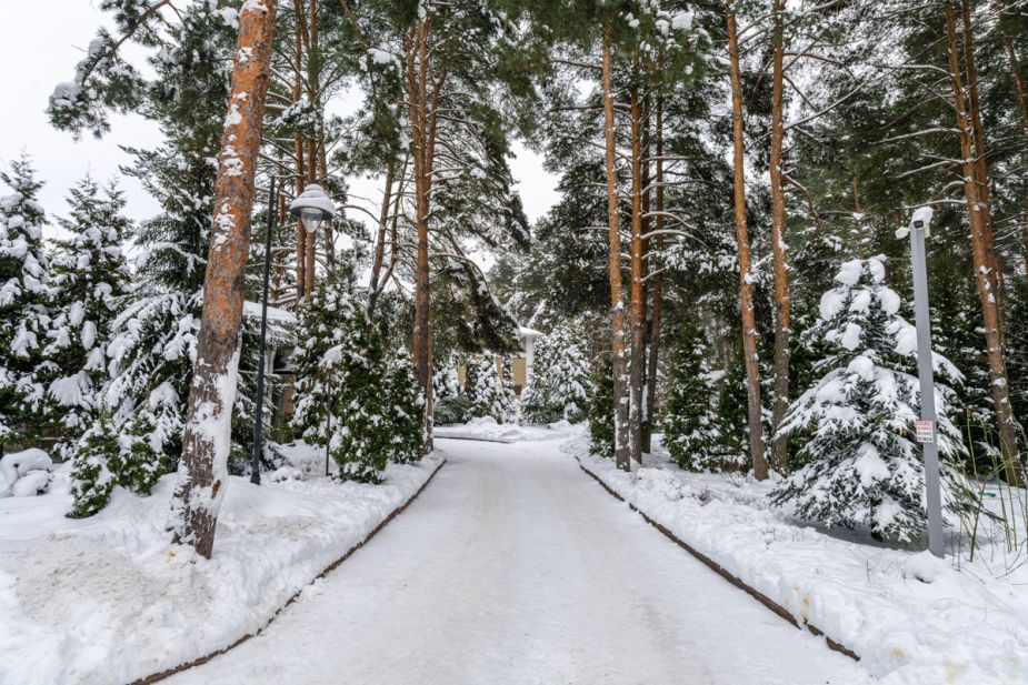 Алексеево Парк