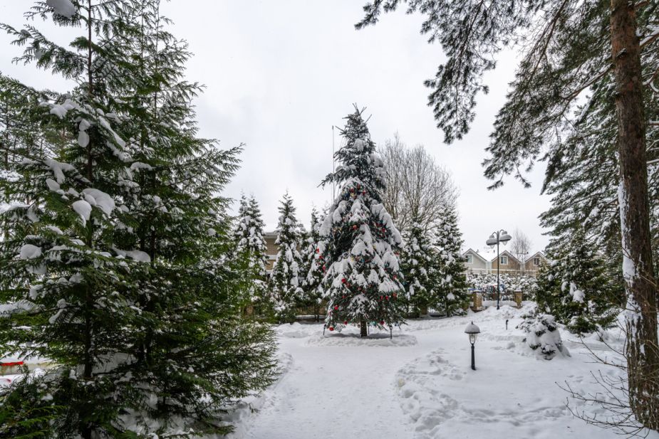 Алексеево Парк