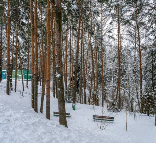 Алексеево Парк