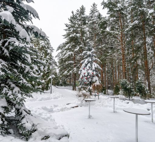 Алексеево Парк