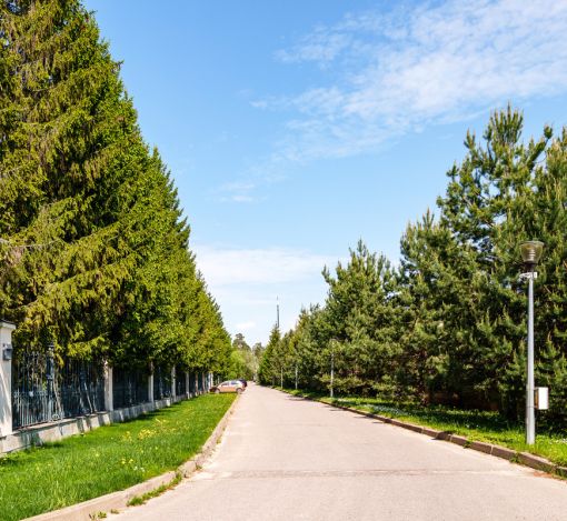 Дом в КП Косыгинсие дачи