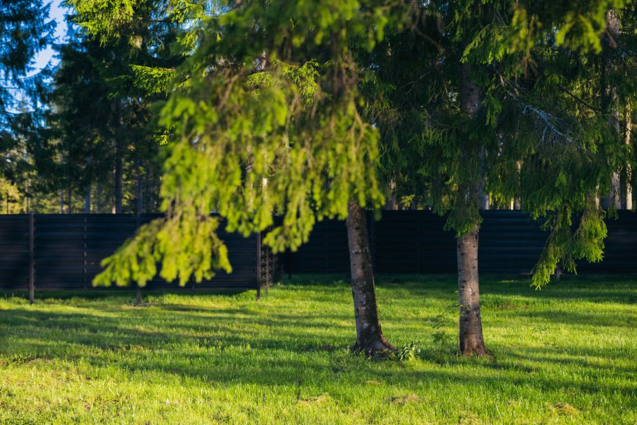 Прилесной участок в КП Ели Эстейт