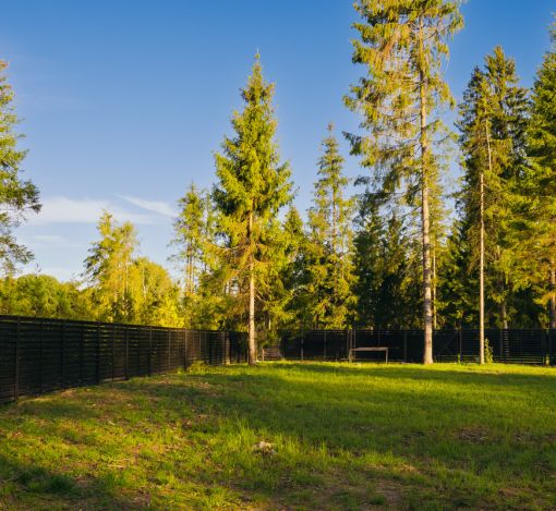 Лесной участок в КП Ели Estate