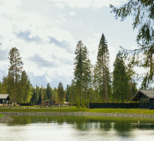 Лесной участок в КП Ели Estate