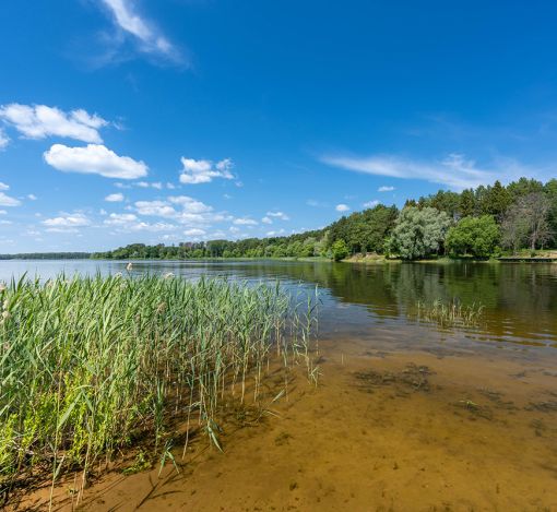 Акватория Истры