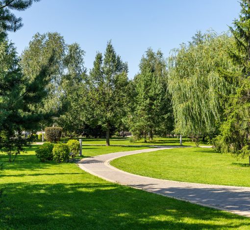 Новорижский