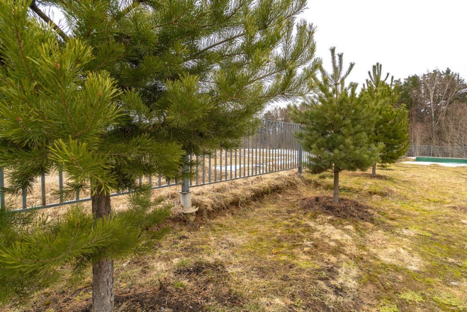 Высокий берег