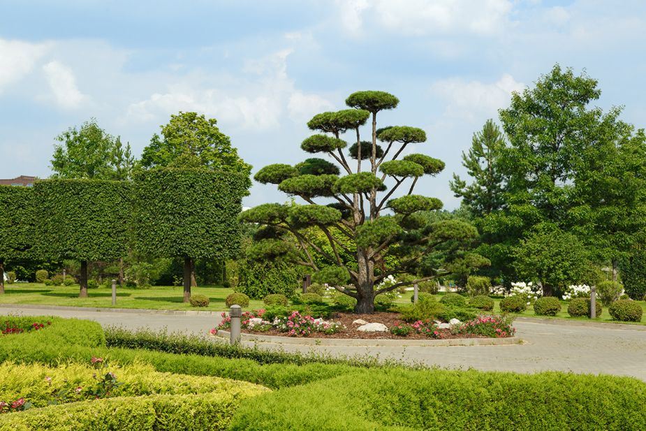 Ренессанс Парк