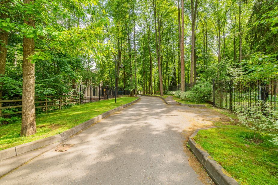 Новолеоново