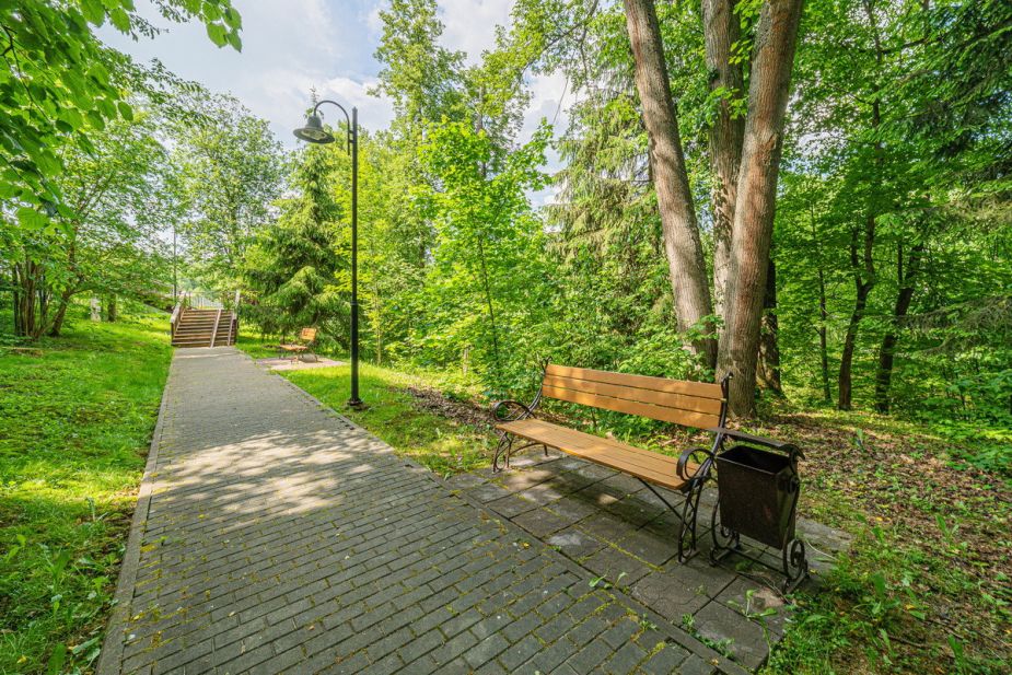 Новолеоново