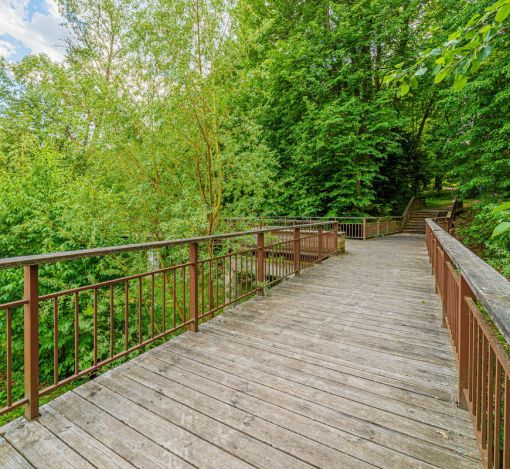 Новолеоново