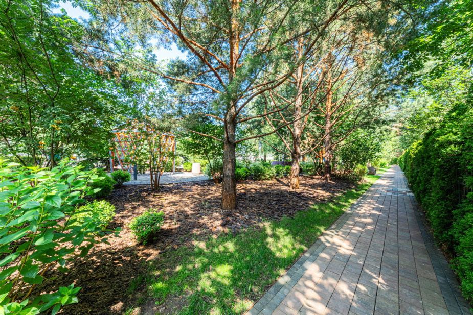 Футуро Парк