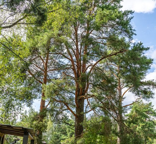 Участок в КП Озерна Резиденс