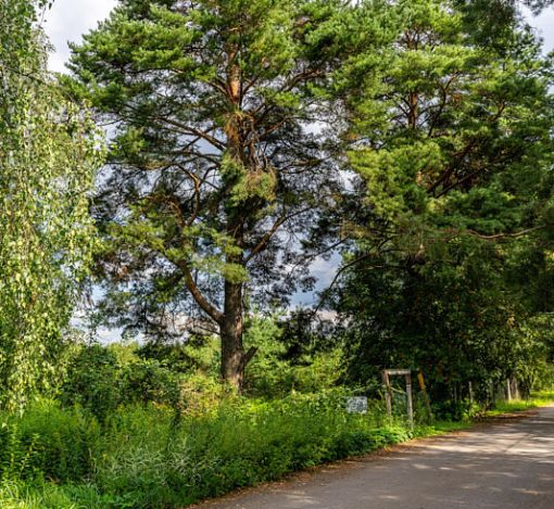 Участок в КП Озерна Резиденс