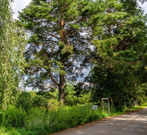 Участок в КП Озерна Резиденс