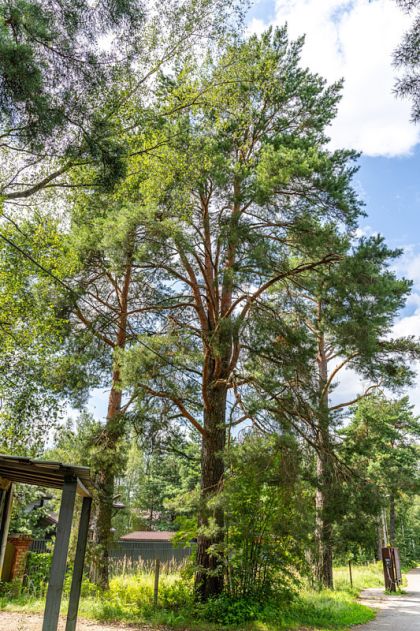 Участок в КП Озерна Резиденс