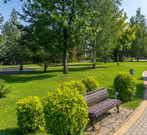 Новорижский