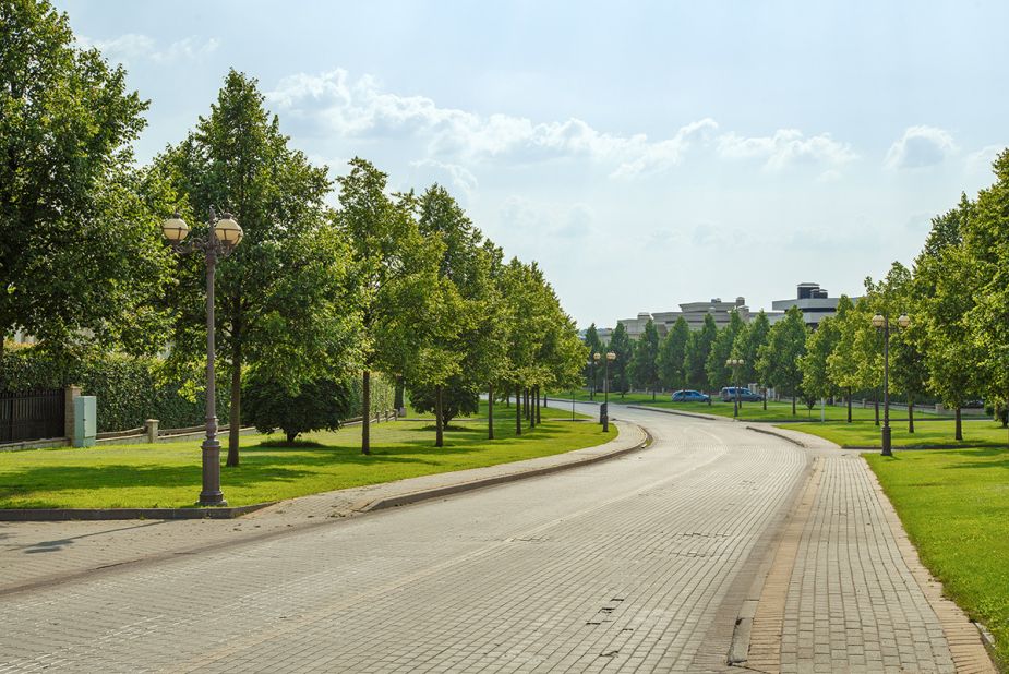 Дом под отделку в Ренессанс парк