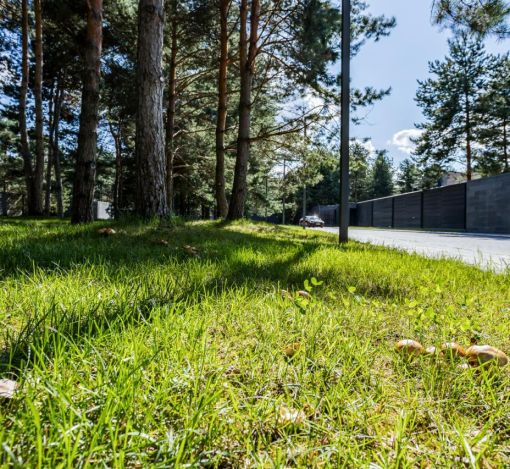 Никольский бульвар