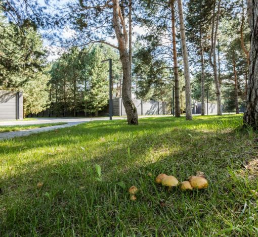 Никольский бульвар