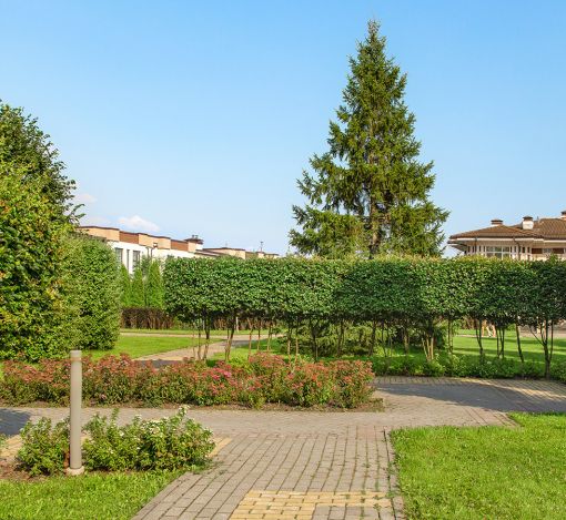 Покровский