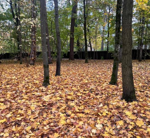 Участок в КП Косыгинские дачи