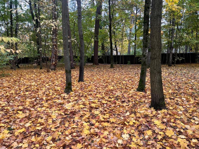 Участок в КП Косыгинские дачи