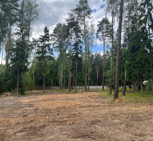 Участок в КП Лесные зори